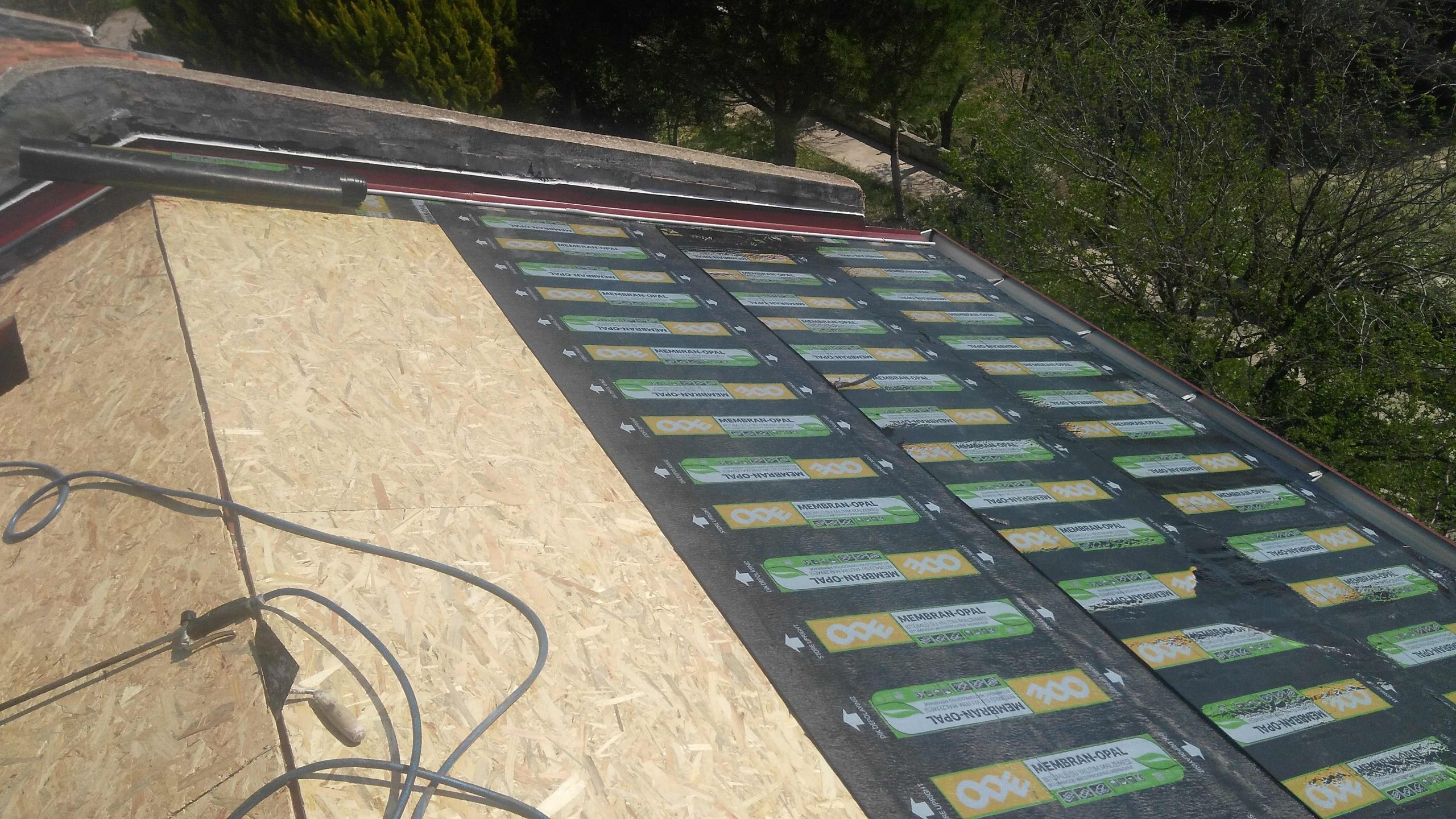 IMG_20170329_115858-Copy