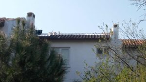 IMG_20170329_164136-Copy