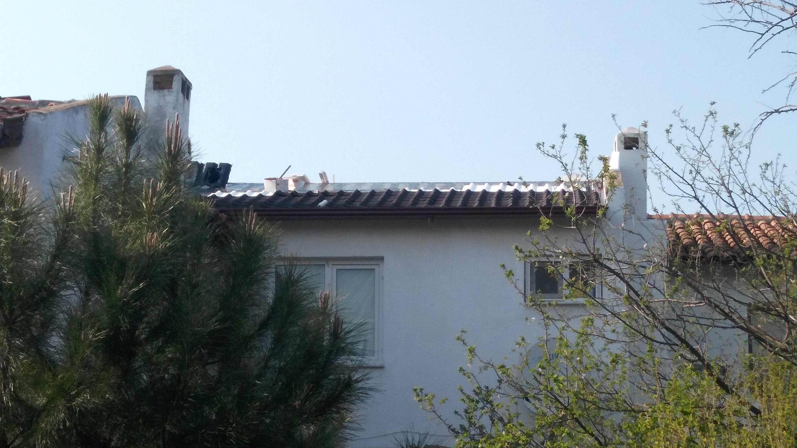 IMG_20170329_164136-Copy