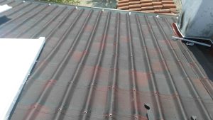 IMG_20170330_113213-Copy