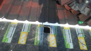 IMG_20170330_114249-Copy