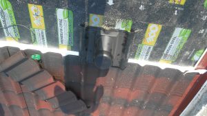 IMG_20170330_1143081-Copy