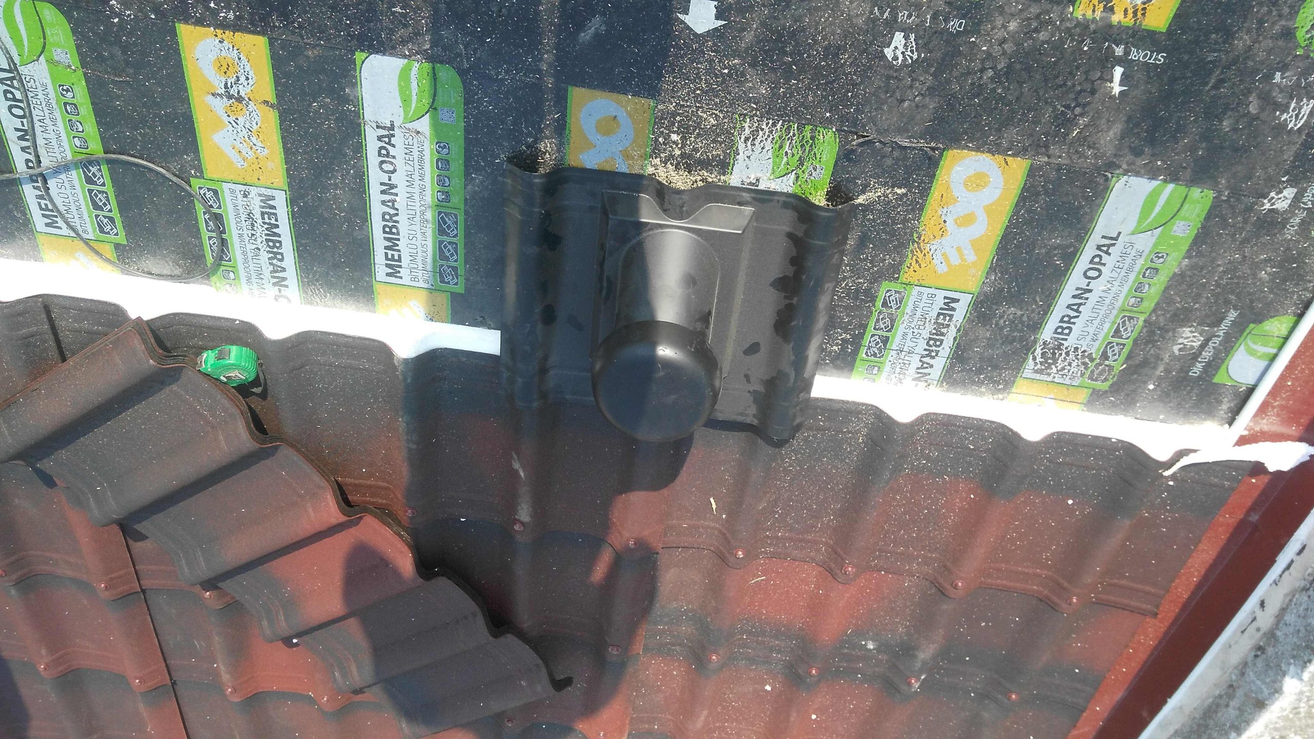 IMG_20170330_1143081-Copy