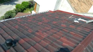 IMG_20170330_150228-Copy