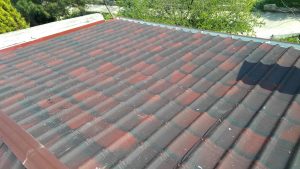 IMG_20170330_150230-Copy