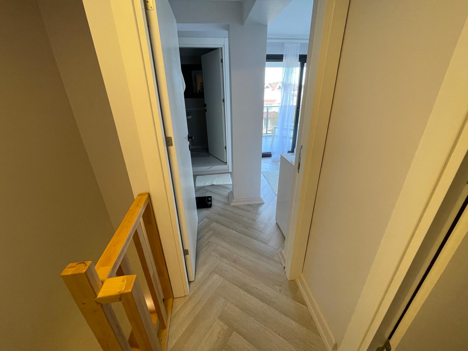 245804e3-85e1-4430-a905-bf3615c5d780