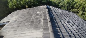 WhatsApp Image 2025-04-09 at 17.56.28 (4)