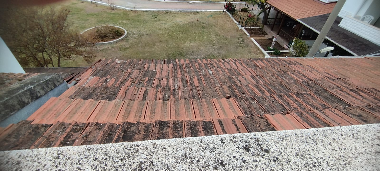 WhatsApp Image 2025-04-09 at 18.32.34